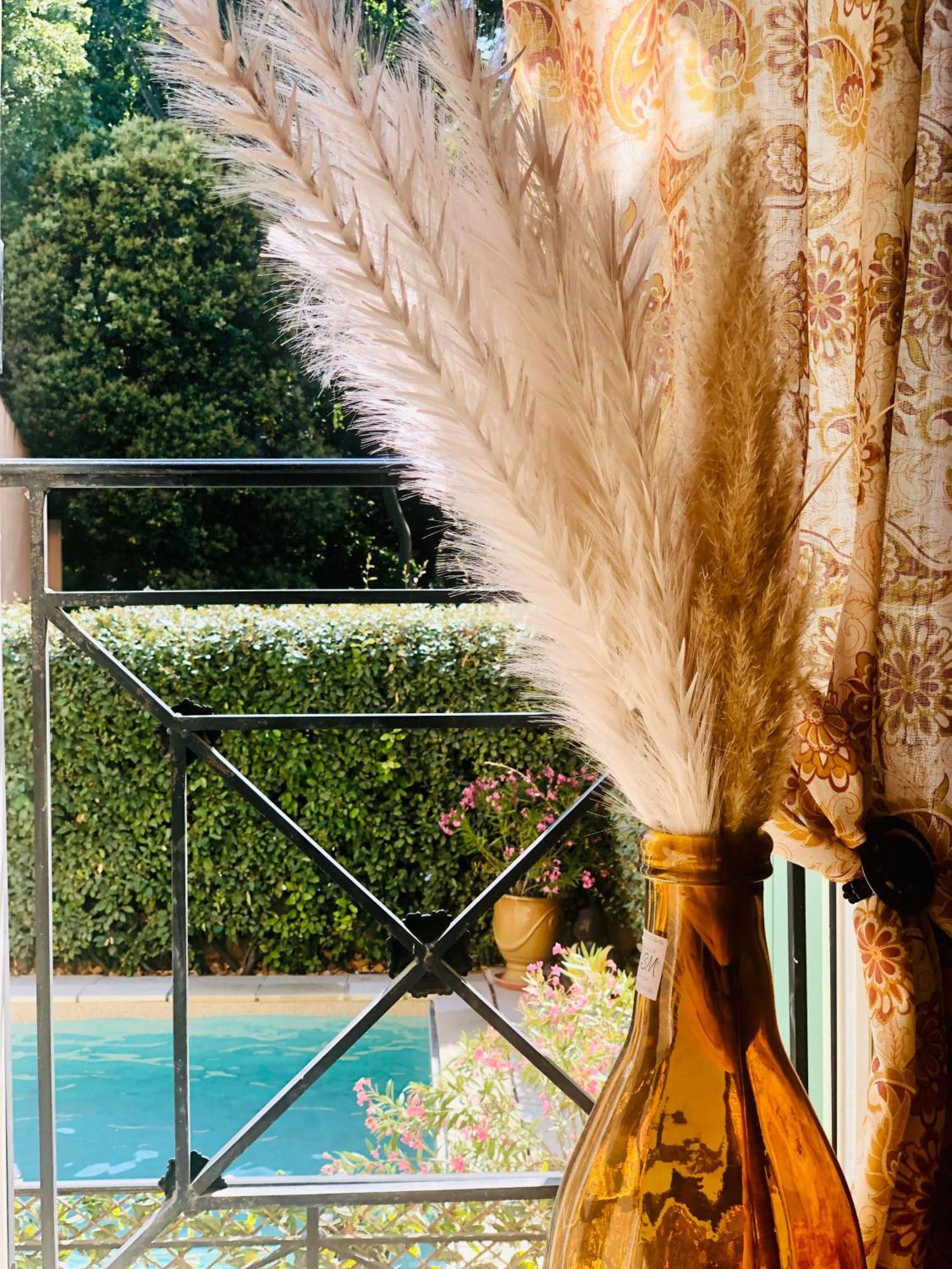 Logis Hotel Et Restaurant La Bastide Cabezac Bize-Minervois Kültér fotó