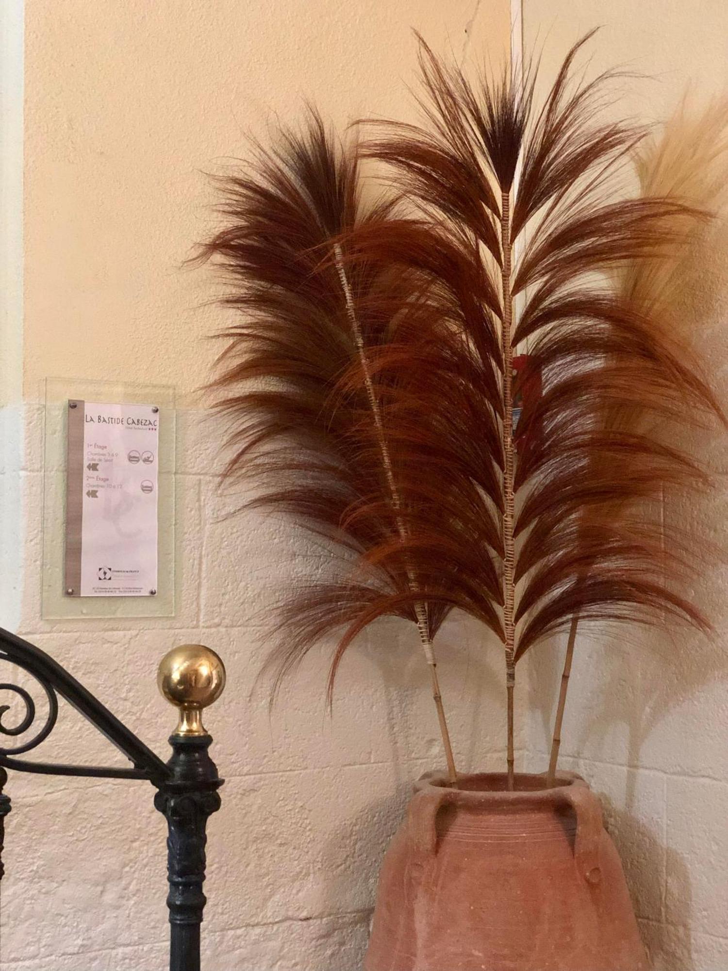 Logis Hotel Et Restaurant La Bastide Cabezac Bize-Minervois Kültér fotó